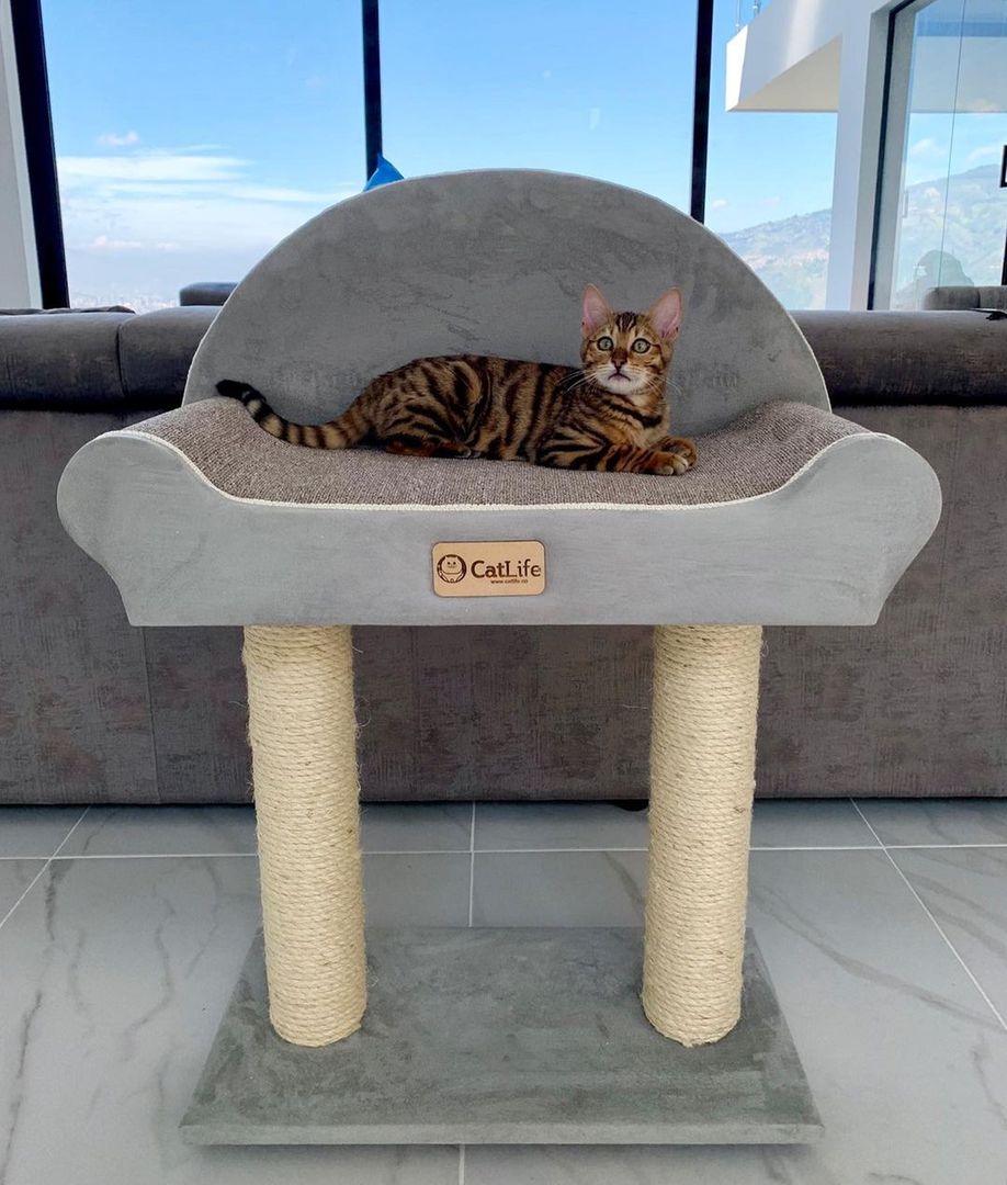 Obrazek