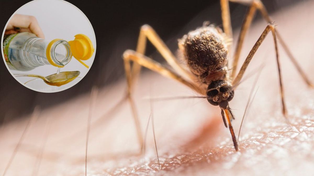 Mieszanka z octu na komary. Fot. Pexels