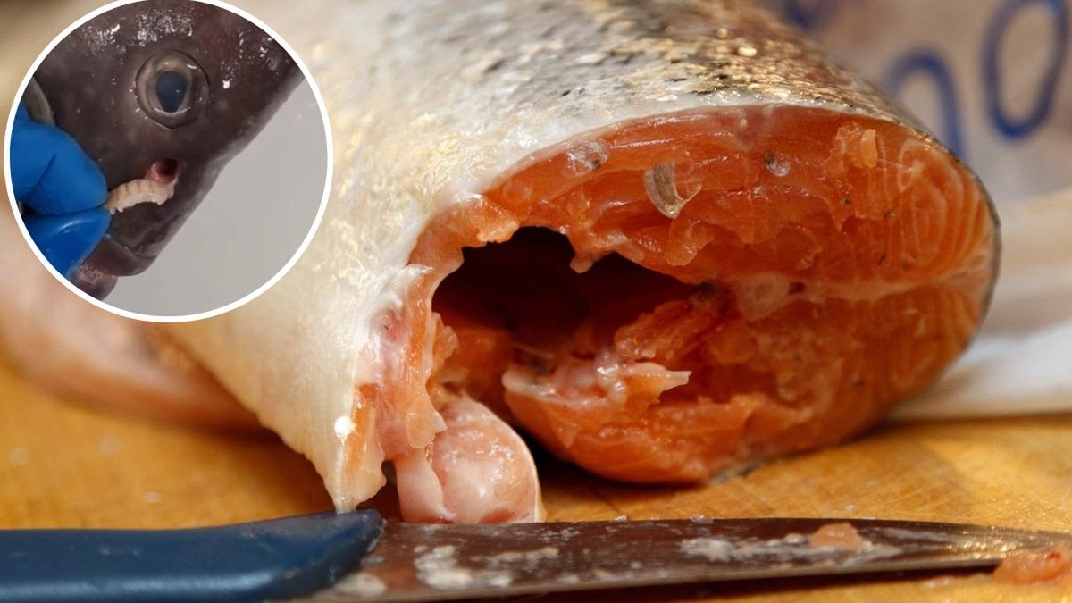 Ryby - filetowanie. Fot. Pixabay, Tiktok/keefish84