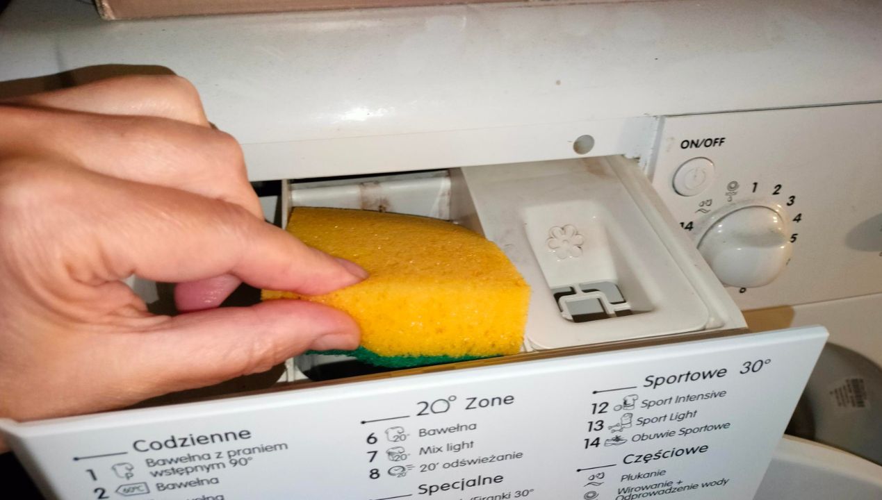 Włóż gąbkę do szuflady na detergenty i dodaj 1 składnik. Pleśń i brud znikną