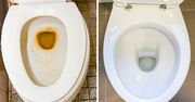 Ta mikstura zawojowała internet. Toaleta będzie lśniła po 30 minutach