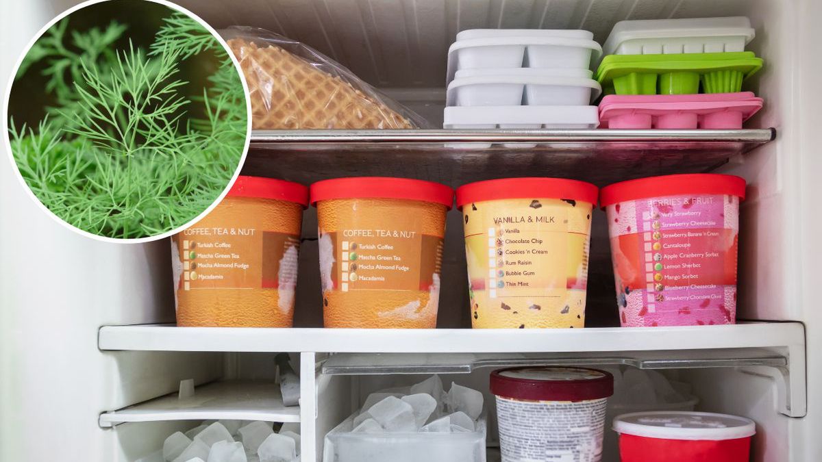 Koperek w pudełku po lodach Fot. AdobeStock