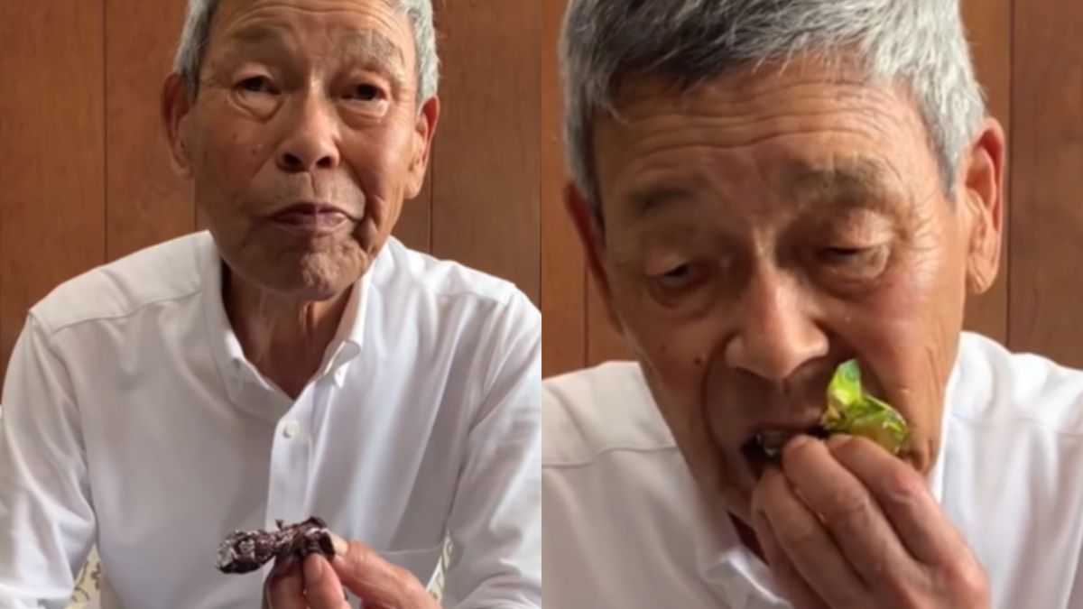 Japończyk spróbował polskich słodyczy. Fot. TikTok/Ken/Solo