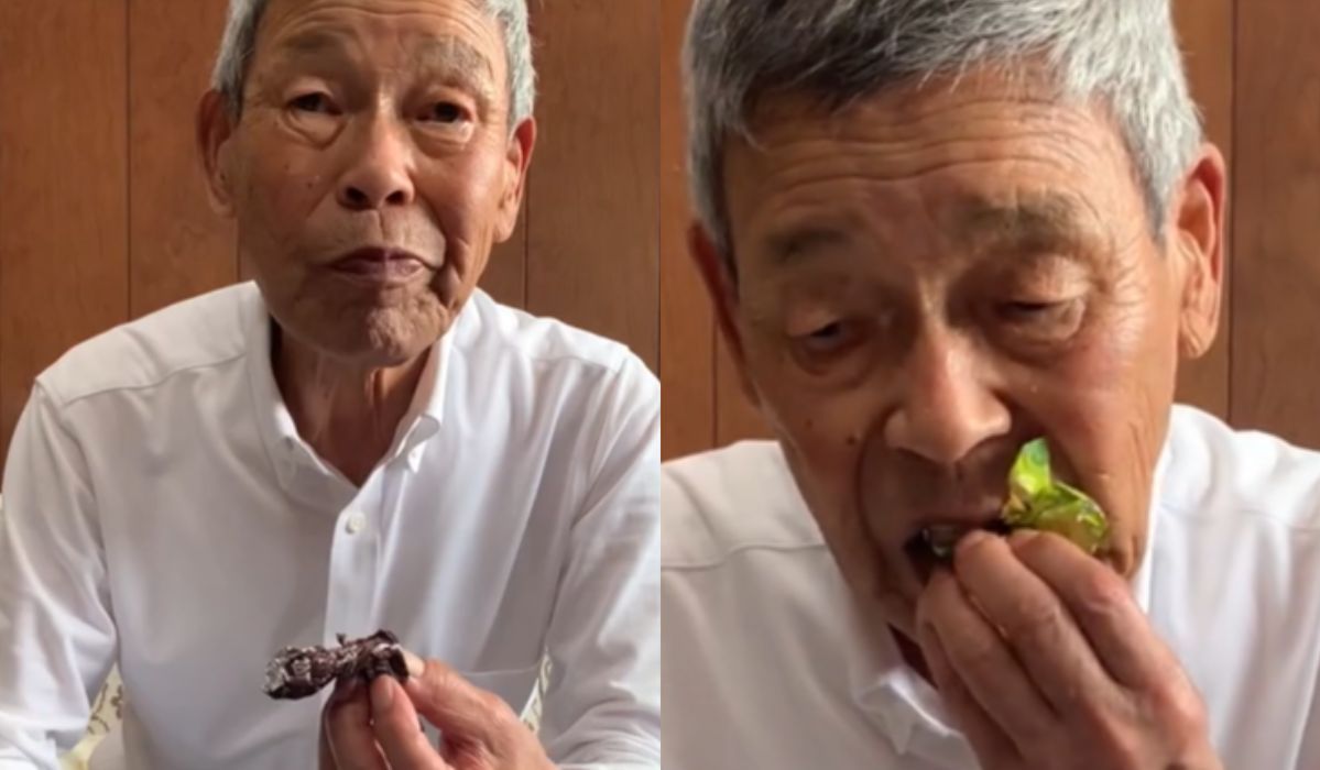Japończyk dał spróbować dziadkowi polskie cukierki w czekoladzie. Mina staruszka bezcenna