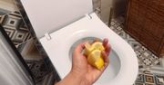 Sprzątaczki nie chcą o tym mówić. Będziesz potrzebować zwykłej cytryny