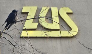 ZUS ostrzega przed oszustami. Uważaj na takie maile