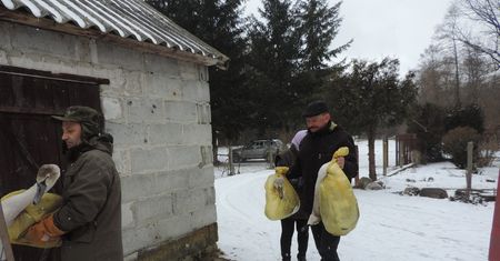 Łabędzie przymarzły do jeziora. Strażacy uratowali prawie wszystkie