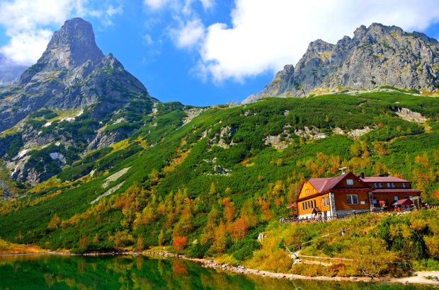 góry, tatry, las 