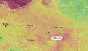Znowu polecą dachy i drzewa. Uderzy w nas niż Heinz, potem nadciągnie niż Igor