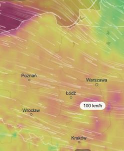 Znowu polecą dachy i drzewa. Uderzy w nas niż Heinz, potem nadciągnie niż Igor