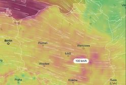 Znowu polecą dachy i drzewa. Uderzy w nas niż Heinz, potem nadciągnie niż Igor