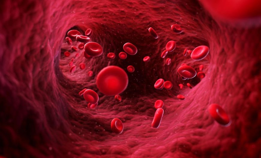 W ciągu doby przez nerki przepływa prawie 4000 litrów krwi, czyli pojemność 20 wanien