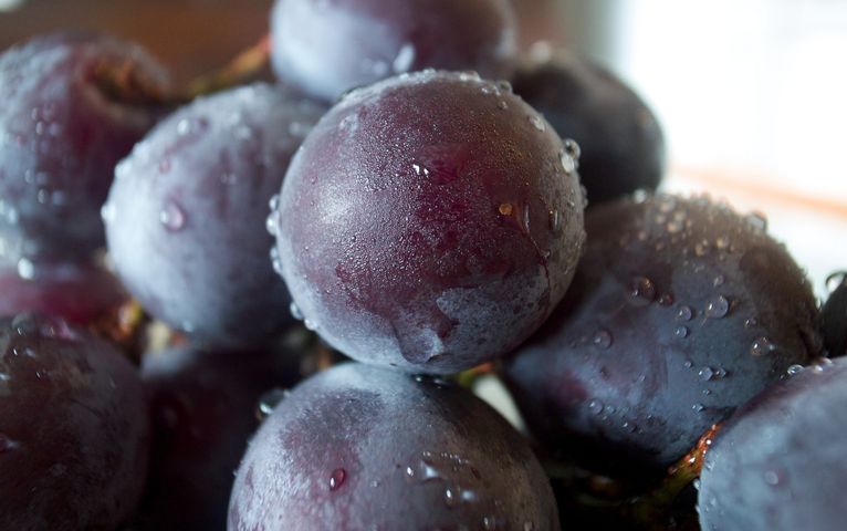 Winogrona mają wiele cennych składników odżywczych.
