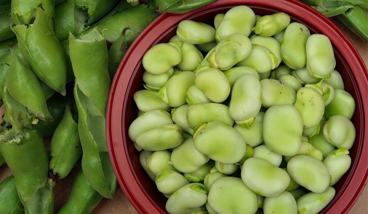 Czy można jeść bob ze skórką? Wiele osób nie wie, dlaczego odpowiedź jest ważna