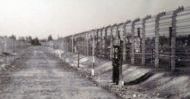 Wspomnienie o Auschwitz
