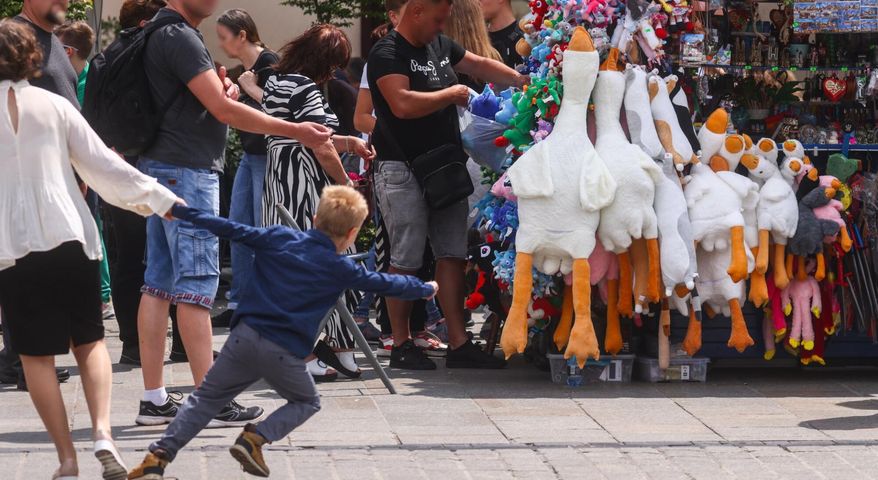 Gęś Pipa opanowała polskie stragany. Dzieci ją uwielbiają, a rodzice załamują ręce