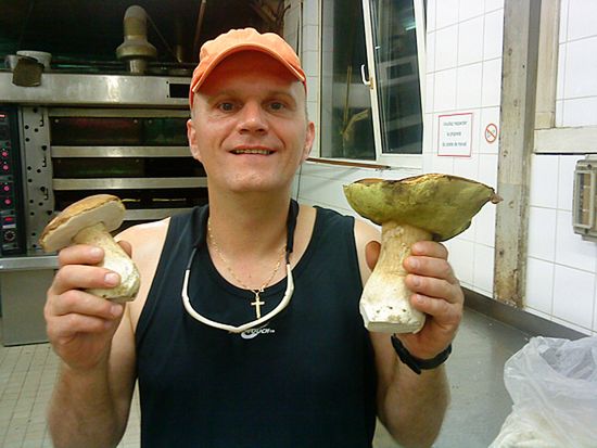 Obraz