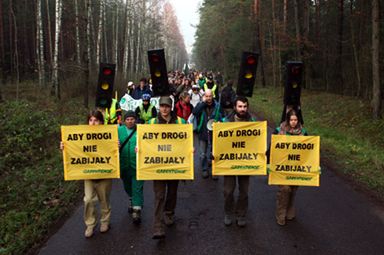 Ekolodzy kontra burmistrz i mieszkańcy Augustowa