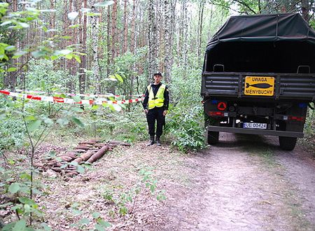 Saperzy przeszukali las i znaleźli 250 kg niewybuchów
