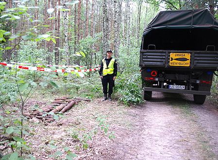 Saperzy przeszukali las i znaleźli 250 kg niewybuchów