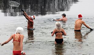 Kąpiel morsów w lodowatej wodzie