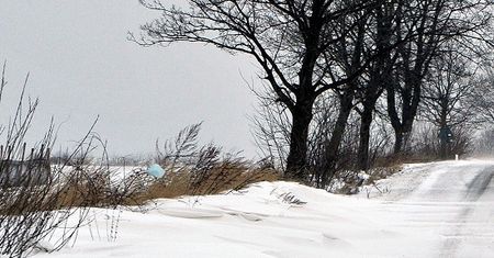 Pierwsza ofiara mrozów na Mazowszu