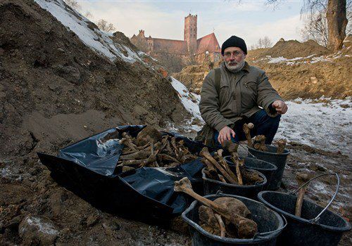 Gdzie spoczną szczątki ze zbiorowego grobu w Malborku?