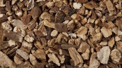 Roślina, która zabija komórki rakowe w 48 godzin