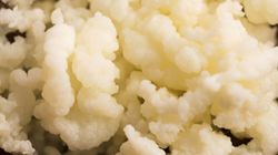 Fermentacja mlekowa - na czym polega, zastosowanie, kwas mlekowy, probiotyki