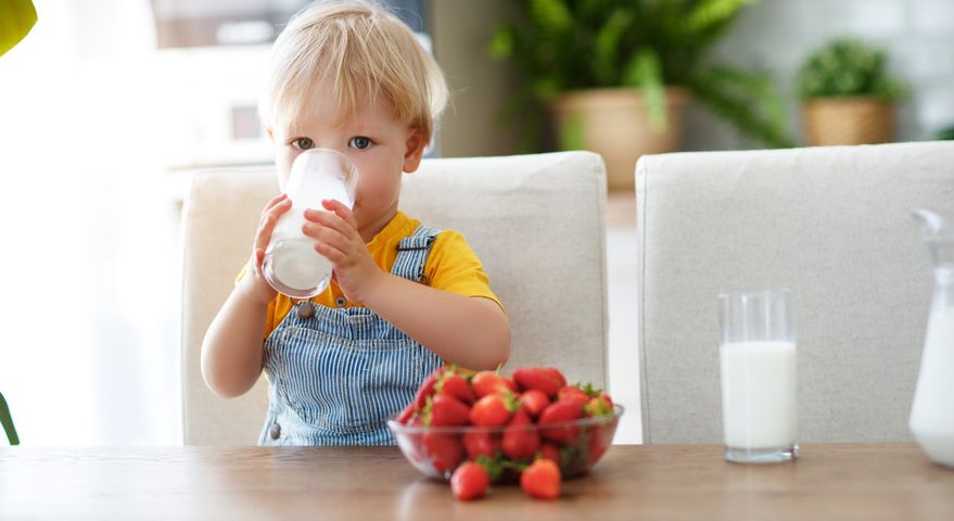 Mleka roślinne nie dostarczają dzieciom potrzebnych składników odżywczych.