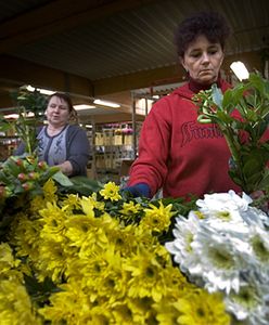 Dzięki Polakom ten kraj się jakoś trzyma