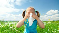 Jak wychowywać dzieci, które mają alergię?