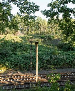 Nowe, tajemnicze znaleziska na Dolnym Śląsku