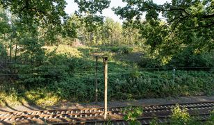 Tomasz Wróblewski: Demony złotego pociągu