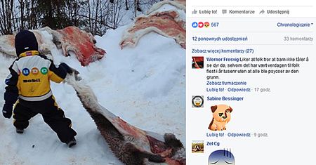W norweskim przedszkolu pokazano dzieciom, jak zabija się renifery