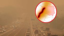 Chmura toksycznego dymu nadciąga nad Polskę. Główny Inspektorat Ochrony Środowiska komentuje