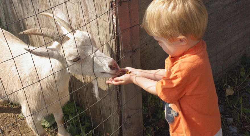 Wizyta w zoo zakończyła się tragicznie