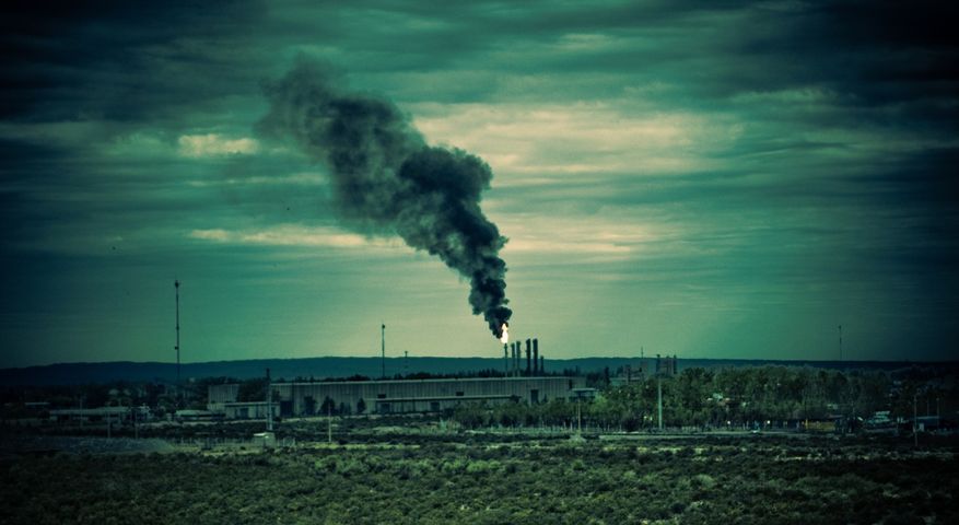 Co powinieneś wiedzieć o toksynach i zanieczyszczeniach?