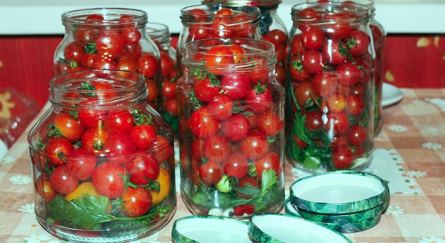 Kiszone pomidory dla miłośników fermentowanej żywności. Nie tylko smaczne, ale także zdrowe