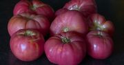 Fioletowe znaczy zdrowe