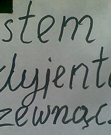 Internauci dokumentują pułapki językowe