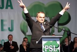 "Więcej PSL-u to więcej normalności"