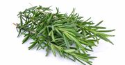 Chcesz poprawić pamięć? Wąchaj rozmaryn!