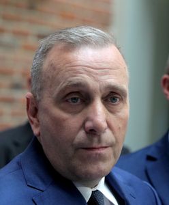 Schetyna tłumaczy nieobecność u prezydenta. "SMS-em zaprosił, by zmieniać konstytucję"