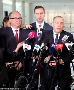 Sondaż w wyborach do PE. Rozdrobniona opozycja nie ma szans. Kluczem koalicja