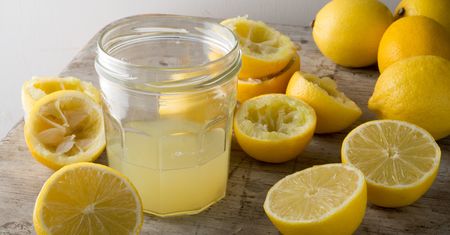 Cytryna i limonka – czy można stosować je wymiennie? Która zdrowsza?