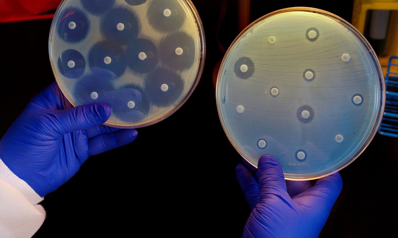 Powstał antybiotyk, który pokonuje nawet superbakterie. I nie wymyślił go człowiek