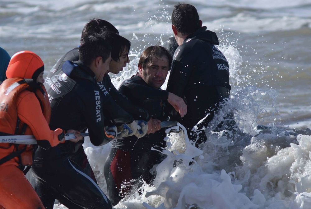Uratowali olbrzymiego wieloryba. Zwierzę wróciło do oceanu