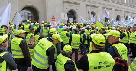 Weterynarze zablokują drogi i będą głodować. Walczą o obiecane 40 mln zł