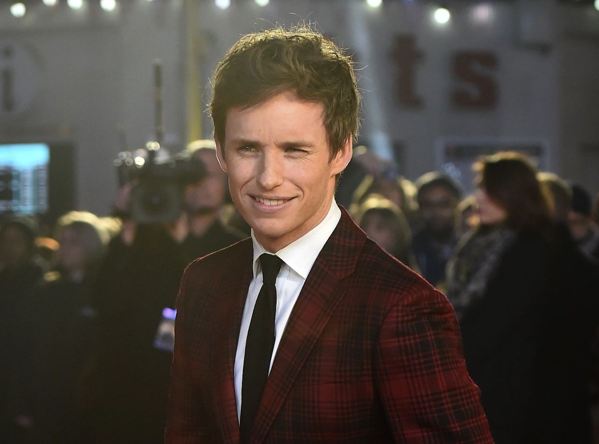 Eddie Redmayne jak Harry Potter